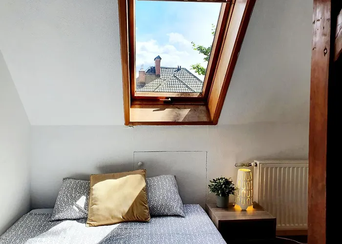 民宿 Pokoje W Dolnym Sopocie Ii