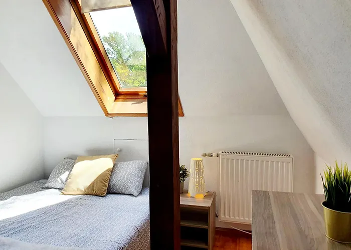 民宿 Pokoje W Dolnym Sopocie Ii 索波特